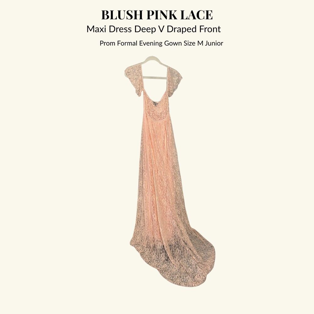 Romantic Blush Lace Maxi Prom Dress Fairycore Spring Vintage Formal - Picture 2 of 3